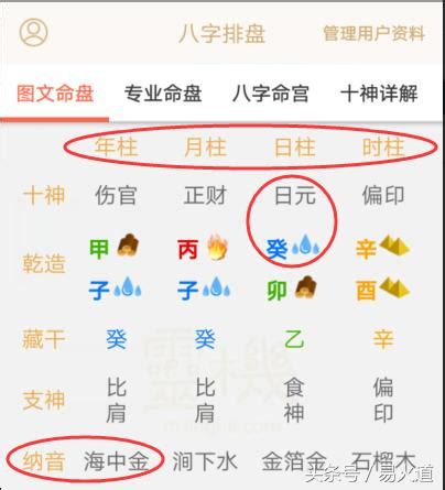 日主|算命中的日主是什么意思？看下你是什么日主！